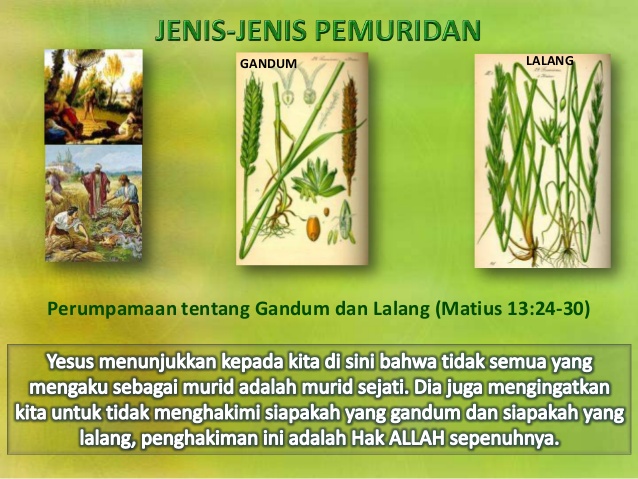 renungan harian katolik