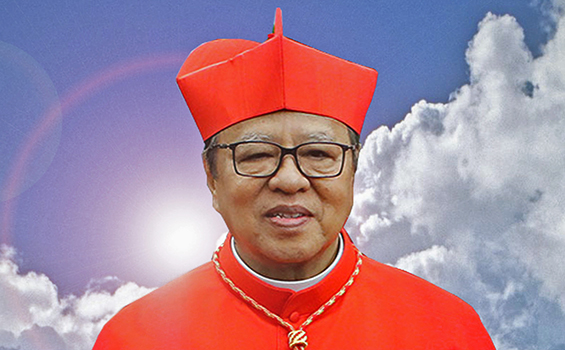 Kardinal Suharyo, Wakil Indonesia di  Dewan Kepausan untuk Dialog Antar Agama