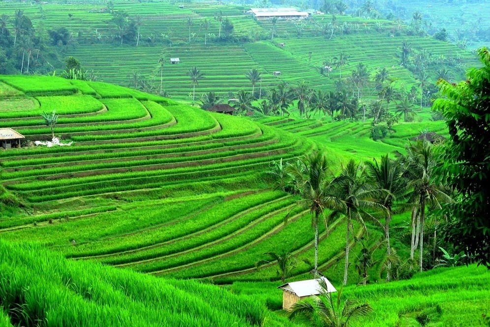 TETAP PERCAYA DALAM SEGALA KEADAAN